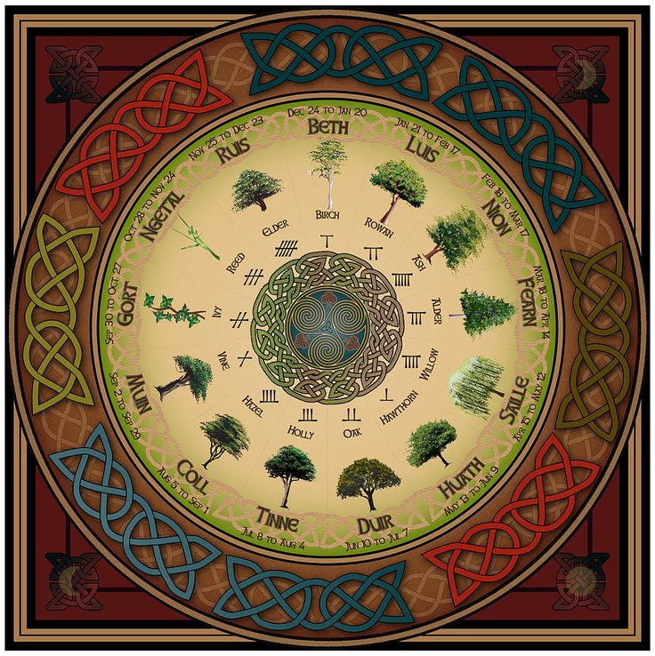 ogham tree calendar