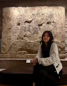 whatsapp image 2026 01 17 at 20.53.39 (1)